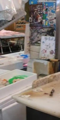 Osaka Food Walking Tour with Market Visit